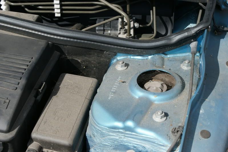 Mini Cooper Engine Bay Detail Detailing World Forum